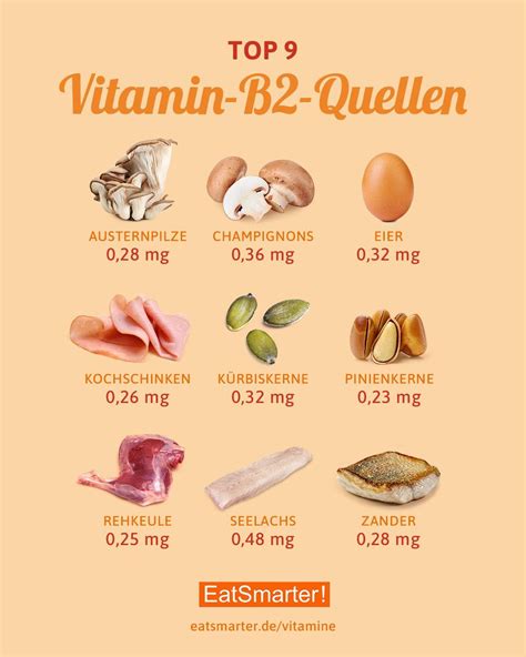 Die Besten Quellen Der Vitamine B-6 & B-12